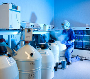 Hert's & Essex Fertility Clinic - Photo taken by ray lowe studios